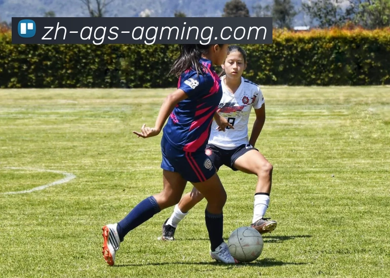 AG娱乐登录平台生态图