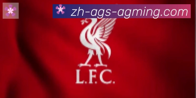 AG娱乐登录合作伙伴