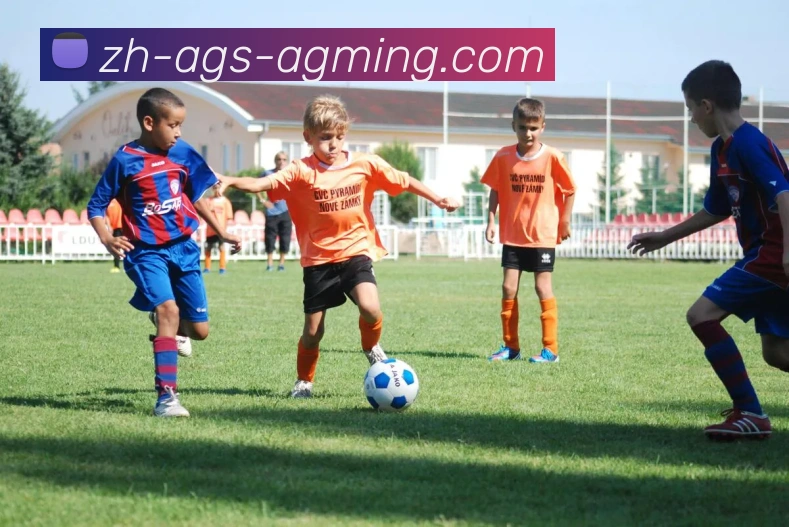 AG娱乐登录全站App